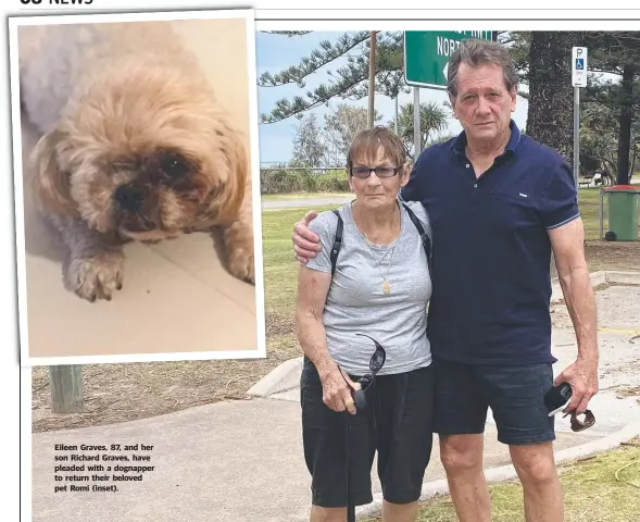  ??  ?? Eileen Graves, 87, and her son Richard Graves, have pleaded with a dognapper to return their beloved pet Romi (inset).