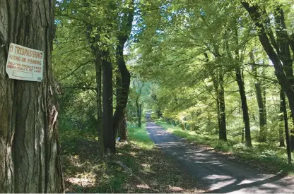  ?? COURANT FILE PHOTOS ?? “Wild places still exist in Connecticu­t, but they won’t if we don’t do something to protect them,” said Walker Holmes, state director of the Trust for Public Land. Above, the Meshomasic State Forest.