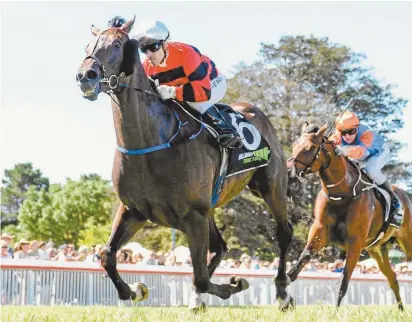  ??  ?? Stan Tsaikos, aboard Koolama Bay, wins the Burrumbeet
Cup in regional Victoria on New Year’s Day.