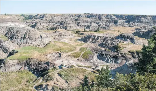  ?? PHOTOS: CHRIS BRUNEAU ?? Horseshoe Canyon is Canada’s answer to the Grand Canyon. It’s on a smaller scale, of course, but offers a trail visitors can follow to get a close look at the landscape.