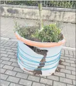  ?? ?? One of the damaged flower pots, which was temporaril­y repaired by staff from the Avondhu Blackwater Partnershi­p.