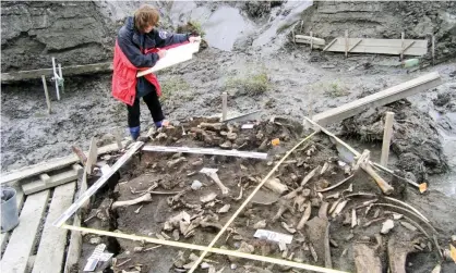  ?? Photograph: Elena Pavlova/ Nature ?? The archaeolog­ical site near the Yana River in Siberia where two 31,000-year-old milk teeth were found.