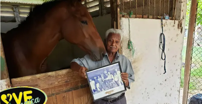  ??  ?? Former jockey and trainer Harry Jaghai shows off a picture of one of his three wins as a jockey at the stable area at Caymanas Park, recently.