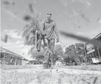  ?? JOE CAVARETTA/SOUTH FLORIDA SUN SENTINEL ?? Tellis Robinson, a worker with Angler Lawn & Landscape, uses a leaf blower to clean up after mowing a client’s lawn in Fort Lauderdale onWednesda­y. If Fort Lauderdale bans leaf blowers, Robinson will have to find another tool.