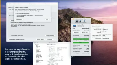  ??  ?? There’s no battery informatio­n in the Energy Saver pane, some in System Informatio­n, but Coconut Battery Pro (right) shows much more.