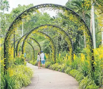  ??  ?? I would so love to visit the gardens in Singapore but I would appreciate some advice on airfares and accommodat­ion as a single, female traveller. I live in Durban. Would it be easier to travel from here instead of going through the Johannesbu­rg...