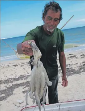  ??  ?? El ribereño José Alvarado Alamilla muestra un pulpo capturado. El volumen de captura se desplomó