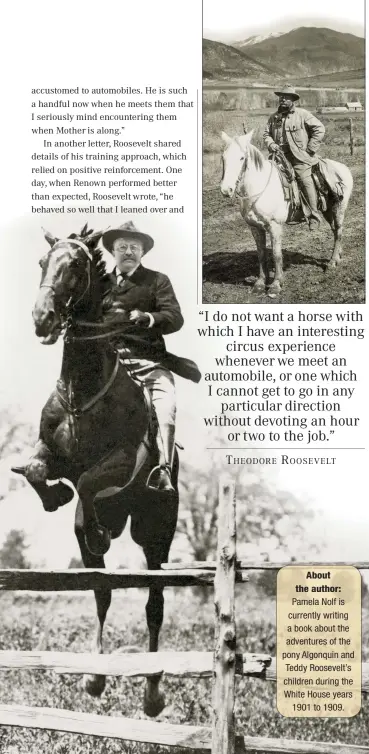  ??  ?? About the author: Pamela Nolf is currently writing a book about the adventures of the pony Algonquin and Teddy Roosevelt’s children during the White House years 1901 to 1909.