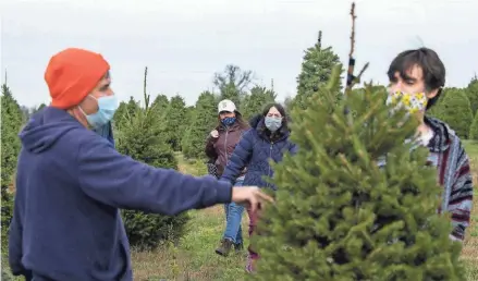  ??  ?? The Dugasz family walks through rows of pine trees looking for the perfect Christmas tree to buy at Cackler Family Farms in Delaware. “It’s a chance for us to be together and have a little fun,” said Erwin Dugasz Jr.