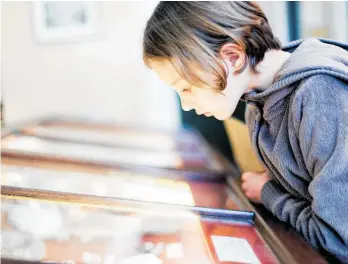  ??  ?? A review panel found Te Papa didn’t have enough staff to look after all of its collection­s.