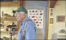  ??  ?? At 89 years old, Lawson occasional­ly bench-grafts apples these days, but at nowhere near the rate he once did.