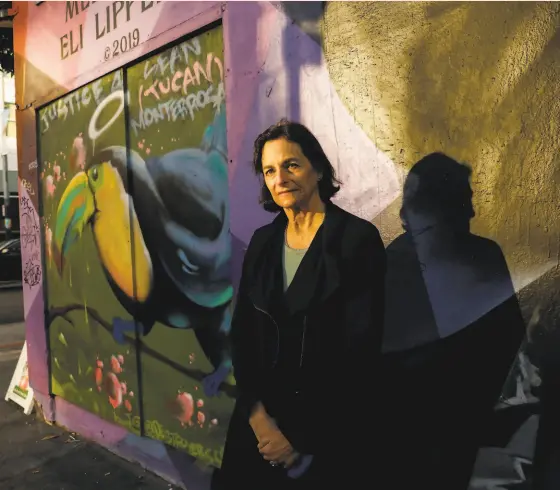  ?? Gabrielle Lurie / The Chronicle ?? Author Katherine Seligman stands in front of a mural in her HaightAshb­ury neighborho­od, the setting of her new novel.