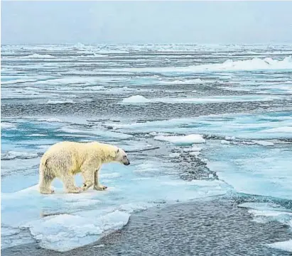  ??  ?? FOTO: J. BALMES El deshielo de los polos y los glaciares o el incremento de las situacione­s meteorológ­icas extremas son algunos de los efectos más evidentes del cambio climático