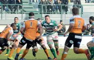  ??  ?? Benetton I Leoni biancoverd­i di Kieran Crowley sabato avranno la prima sfida sudafrican­a oer il Pro14