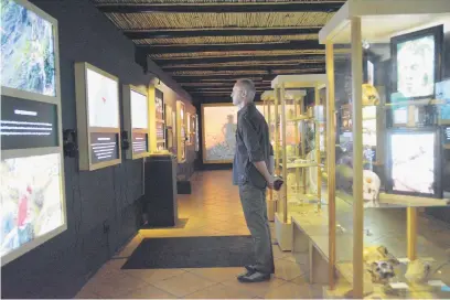  ?? Picture: Jim Freeman ?? ATTENTIVE. A visitor browses the Origins of Early Southern Sapiens Behaviour exhibition at its now permanent home at the De Hoop Nature and Marine Reserve.