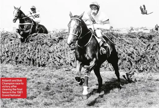  ??  ?? Aldaniti and Bob Champion race to victory after clearing the final fence in the 1981 Grand National