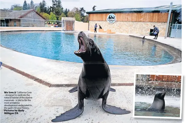  ?? ?? We love it California Cove - designed to replicate the natural habitat of the marine mammals - is said to be the most ambitious developmen­t undertaken in the park’s 50-year history Pictures by Andy Milligan PA