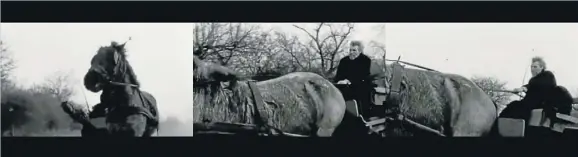  ??  ?? Fotogramas de ‘El caballo de Turín’, con la leyenda del animal desfalleci­do que conmovió al filósofo Friedrich Nietzsche, punto de partida de la película de Béla Tarr