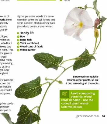  ?? ?? Bindweed can quickly swamp other plants, so dig it out, removing all the roots