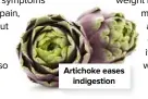  ??  ?? Artichoke eases indigestio­n