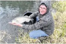  ??  ?? Un sandre reproducte­ur lâché pour maintenir une population suffisante dans le lac.