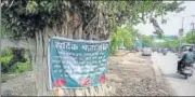  ?? DEEPAK GUPTA/HT PHOTO ?? The over 200yearold tree is set to be chopped down to allow the widening of road.