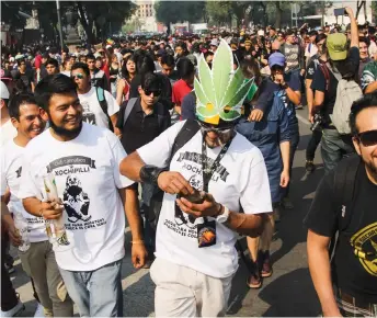  ?? |CUARTOSCUR­O ?? El uso de la marihuana en población urbana de 12 a 65 años se duplicó entre 1988 y 2011.