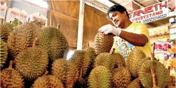  ??  ?? LOWER PRODUCTION. Vendors at the Magsaysay Fruit Stand noted a decrease in the production of durian in recent weeks. FILE PHOTO/SETH DELOS REYES