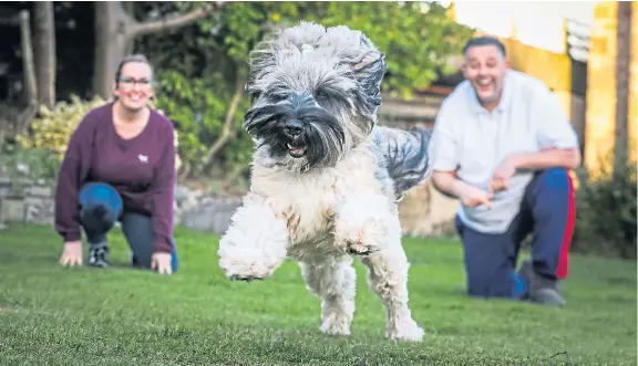  ?? Picture: Mhairi Edwards. ?? Michelle Bond and Murray Simpson are overjoyed to have Betty the Tibetan terrier back.