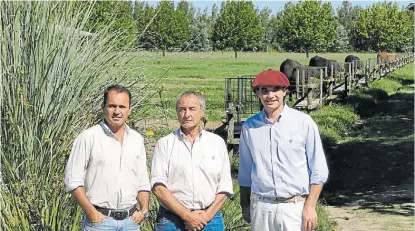  ??  ?? Tridente directivo. De izq a der., Mateo, Ochoa y Otero, son los gerentes de las distintas áreas en Las Lilas.