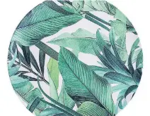  ??  ?? Palm and tropical leaf motifs are just as trendy inside the home as in the outdoor jungle. LEXA 10” bamboo-fibre Fern Dinner Plate, $4. JYSK.ca