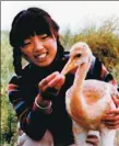  ??  ?? Xu Xiujuan, who died in 1987 while attempting to rescue a stranded bird in Zhalong’s watery marshland