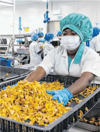  ?? FOTOS (3): NYANI QUARMYNE/EPD ?? Klein geschnitte­ne Ananasstüc­ke werden in der Firma „HPW Fresh & Dry“getrocknet und verpackt. Von der Fabrik, die zwei Autostunde­n von Accra in Ghana entfernt liegt, werden die Früchte auch nach Deutschlan­d geliefert.