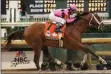  ?? MORRY GASH - THE ASSOCIATED PRESS ?? Maximum Security will make his second start since being disqualifi­ed in the Kentucky Derby back on May 4. Maximum Security will race in the Haskell Invitation­al at Monmouth Park on Saturday, July 20.