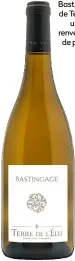  ??  ?? Bastingage 2019 de Terre de l’Élu : un chenin renversant, plein de promesses.