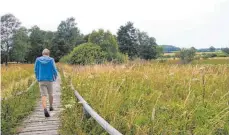  ?? FOTO: PÖTSCH-RITTER ?? Ein Holzschwel­lenweg führt durchs Schopfloch­er Moor.