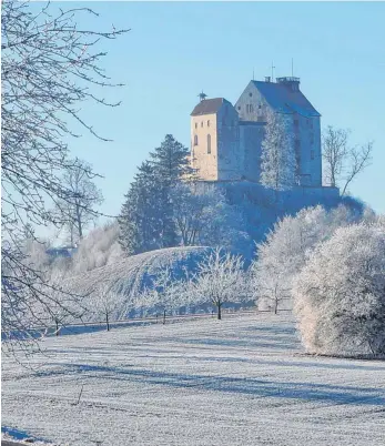  ?? FOTO: JOSEF HALLER/OH ?? Sie ist eines der Wahrzeiche­n Oberschwab­ens und jetzt drehen sich wieder sämtliche Diskussion­en um die Waldburg.