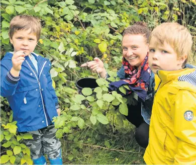  ??  ?? Berry interestin­g Cohen Baird examines a bramble with mum Natalie and brother Kasper