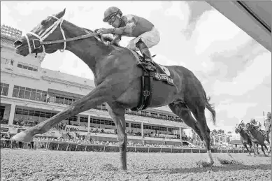  ?? BARBARA D. LIVINGSTON ?? Strike Power, a Courtlandt Farms homebred, will face a distance test in the Florida Derby.