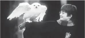  ?? PETER MOUNTAIN/ WARNER BROS. ?? Hedwig, the owl, and Daniel Radcliffe in a scene from the motion picture “Harry Potter and the Sorcerer's Stone.”
