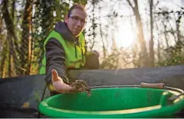  ?? Symbolfoto: dpa/Klaus-Dietmar Gabbert ?? Der Landkreis Bautzen bereitet erste Arbeitsgel­egenheiten für Asylbewerb­er im Naturund Umweltschu­tz vor. Träger der Maßnahme soll ein Verein in Kamenz sein.