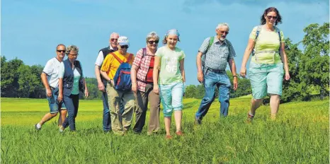  ?? FOTO: SUSI DONNER ?? Der Lindauer Wandertag führt in einer großen Runde durch das schöne Lindauer Hinterland.