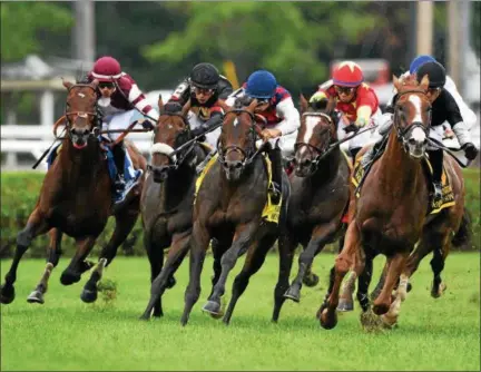  ?? PHOTO ARIANNA SPADONI/ NYRA ?? Voodoo Song (inside) with Jose Lezcano aboard leads the field around the final turn at the top of the stretch in Saturday’s Fourstarda­ve.