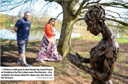  ?? Finnbarr Webster/Getty ?? > Visitors walk past In My Hands by Carol Peace at Sculpture by the Lakes near Dorchester – dry weather has been ideal for days out, but less so for farmers