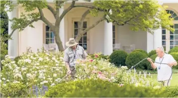  ?? ANDREW HARNIK/AP ?? About 4 million federal workers are to be vaccinated by Nov. 22 under the president’s order aimed at stopping the spread of the coronaviru­s. Above, the Oval Office is visible behind a U.S. Park Service worker watering the Rose Garden.