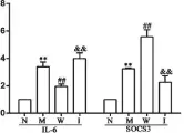  ??  ?? 注：N.正常组；M.模型组；W.温针组；I.IL-6 组；
与正常组比较，**P＜0.01；与模型组比较，##P＜0.01；
与温针组比较，＆＆P＜0.01图 3 各组大鼠脊髓 IL-6、SOCS3 mRNA 表达比较（x±s） —