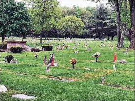  ?? Trumbull Police Department / Contribute­d photo ?? Members of several first responder agencies and the police department­s cadet program in Trumbull placed flags on thousands of graves in Gate of Heaven cemetery on May 22, 2018.