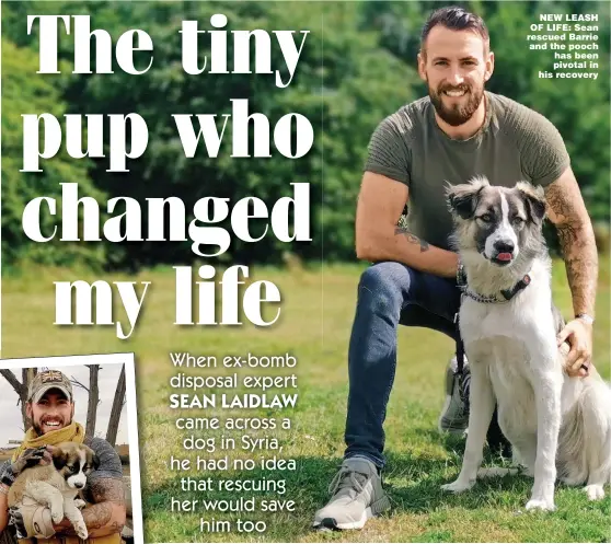  ??  ?? NEW LEASH OF LIFE: Sean rescued Barrie and the pooch has been pivotal in his recovery