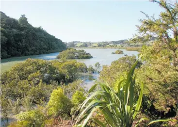  ?? Photo / Glenn Jeffreysun ?? The Environmen­t Court rejected the $1.4b housing plan for Okura near Long Bay.