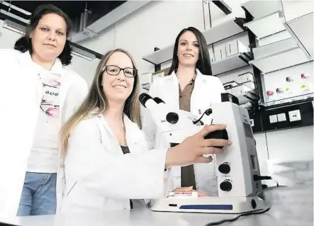  ?? UNI/TZIVANOPOU­LOS ?? um Professori­n Marion Mußbacher (rechts) beschäftig­t sich mit dem Immunsyste­m
